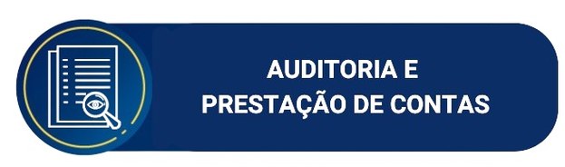 Imagem da página de Auditoria e Prestação de Contas no site.