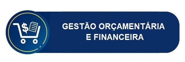 Imagem da página de Gestão Orçamentária e Financeira em Transparência e Prestação de Contas no s...