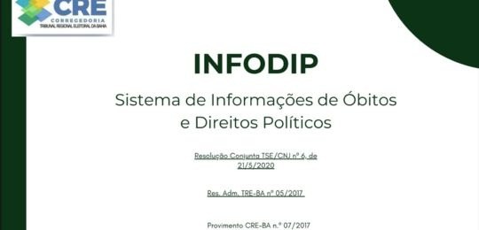 300 servidores das zonas eleitorais participam de treinamento do INFODIP