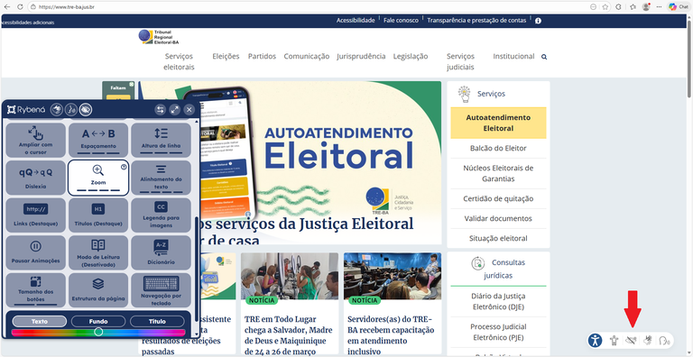 TRE-BA-Uso-Rybena-zoom